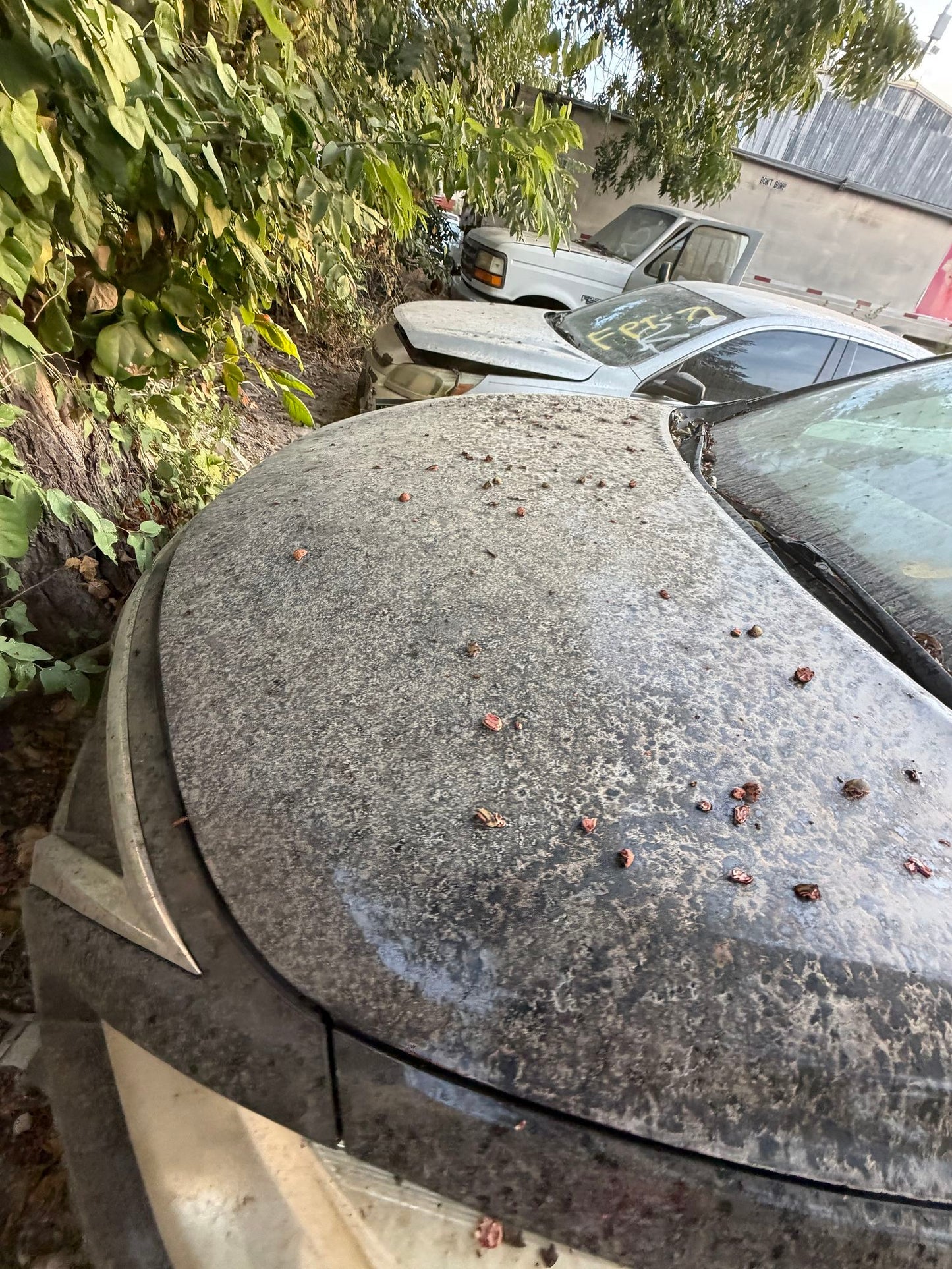 Seat Belt Assembly Rear Center 2013 - 2018 Nissan Altima