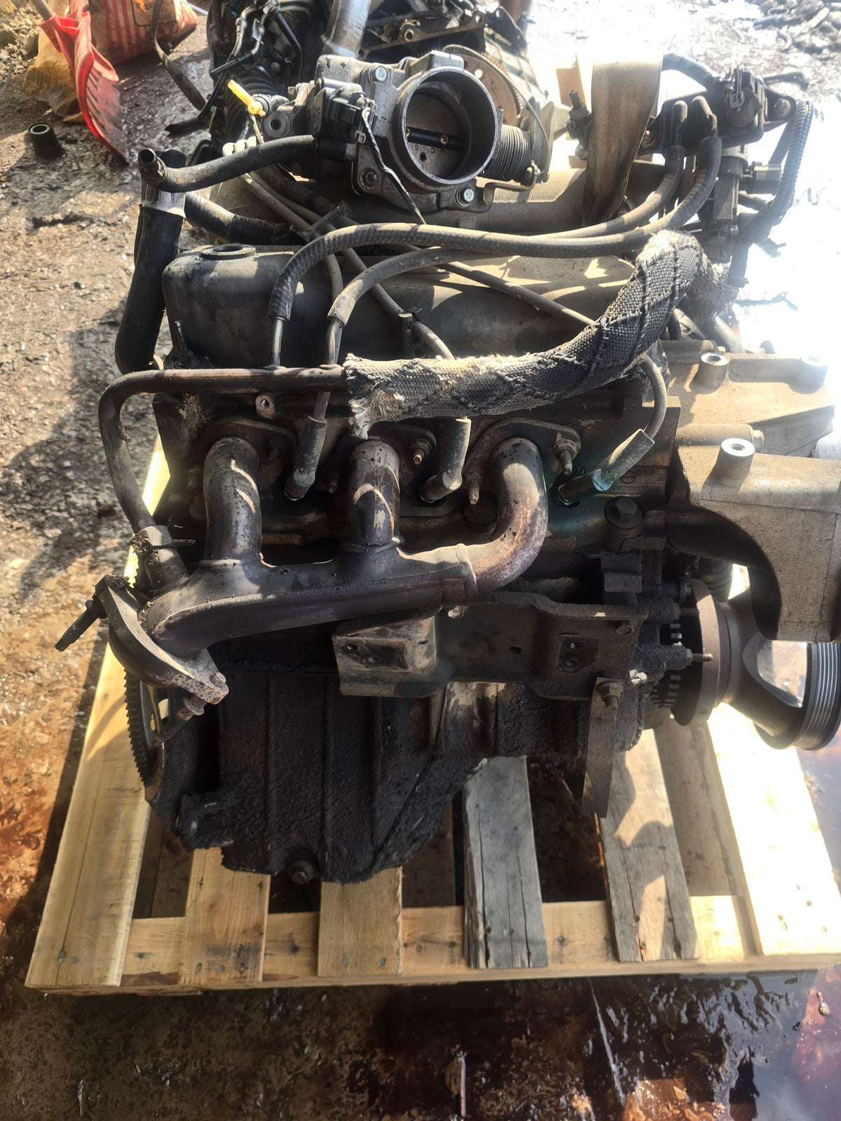 2004 Ford Mustang 3.9L Engine