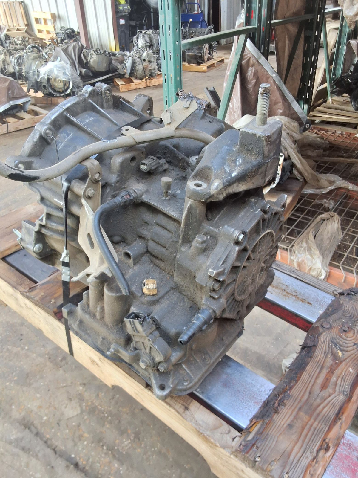 2005-2007 Ford Focus Automatic FWD Transmission