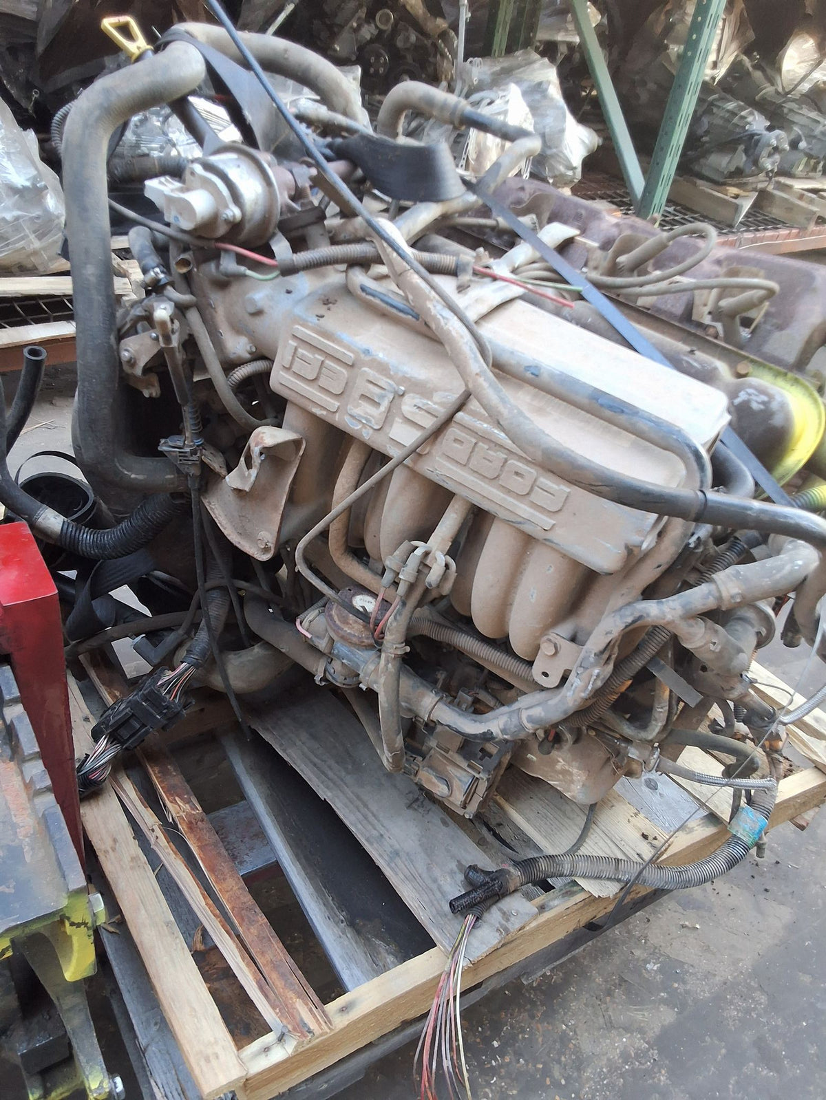 1994-1997 Ford Club 5.8L Engine