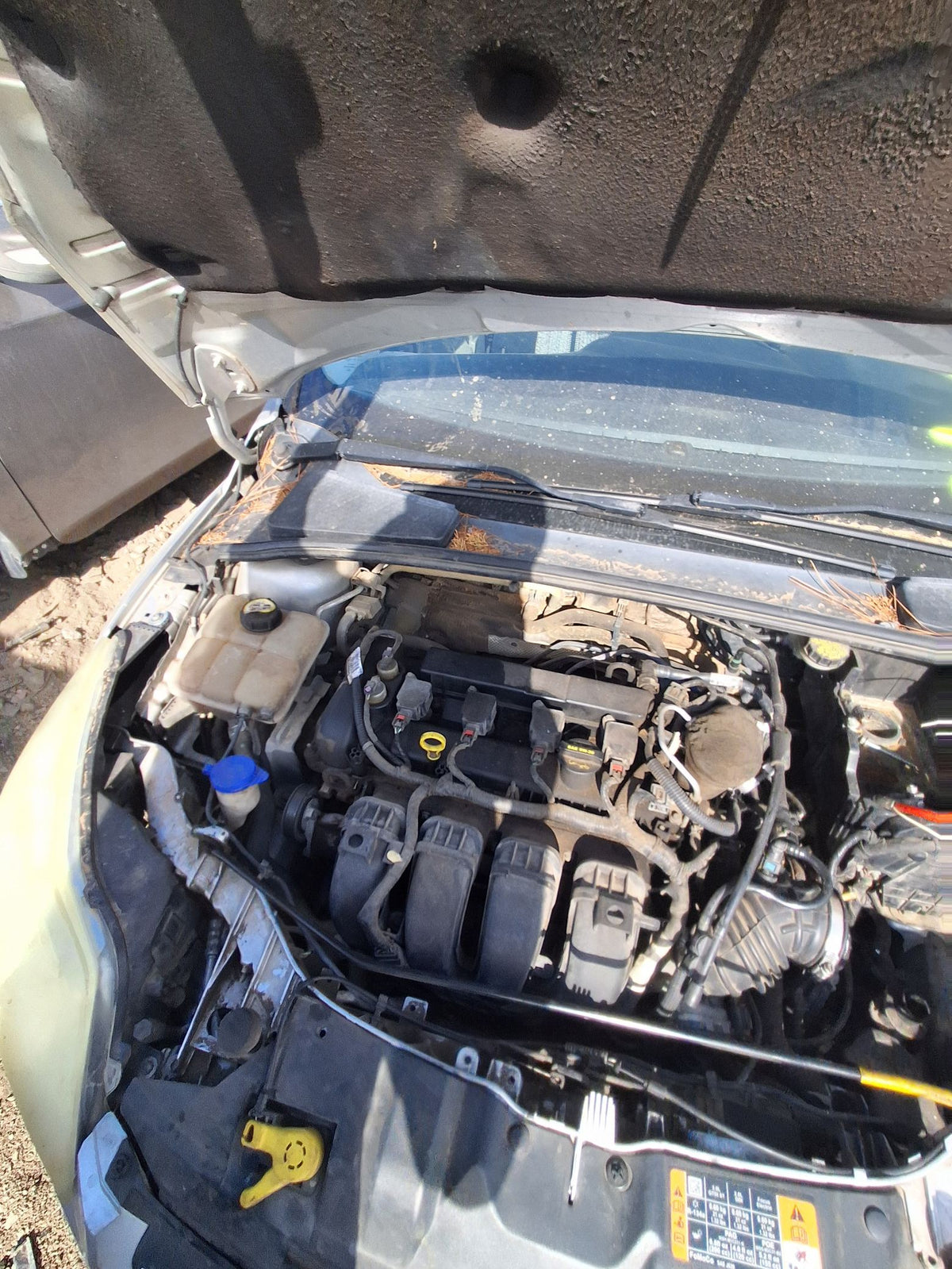 Exterior Door Handle Front Passenger Side 2012 - 2018 Ford Focus