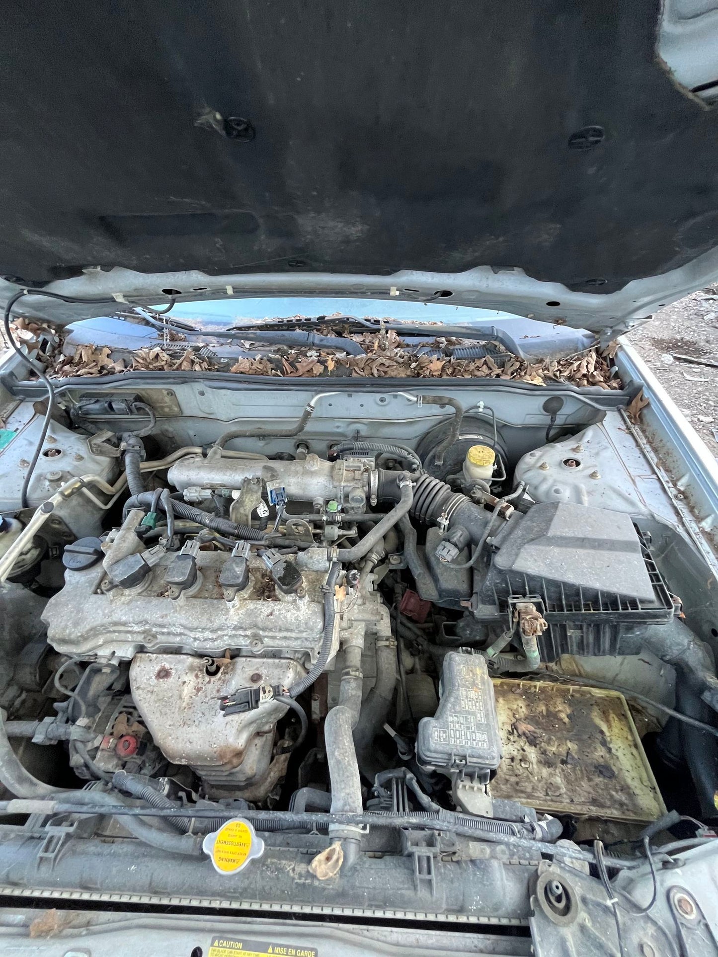Parking Brake Cable Passenger Side 2000 - 2006 Nissan Sentra