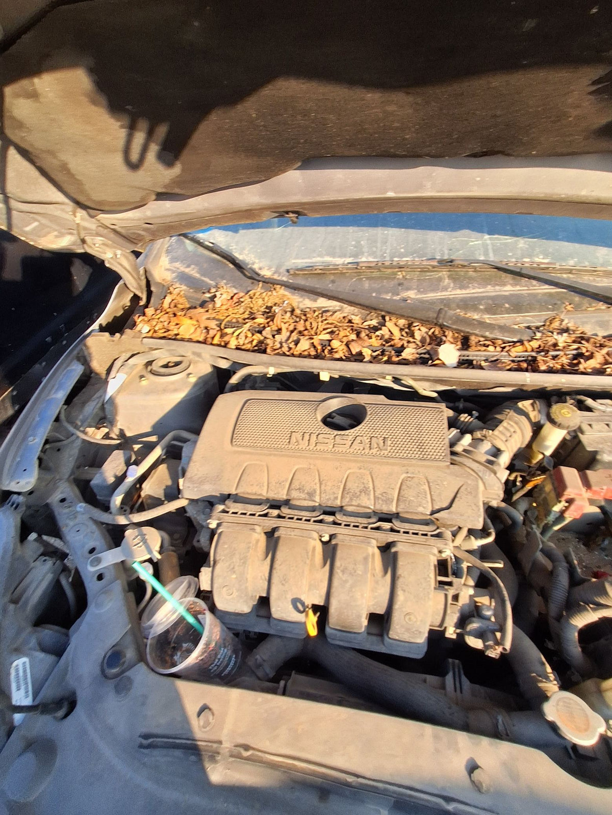 Coil Spring Rear Passenger Side 2013 - 2019 Nissan Sentra