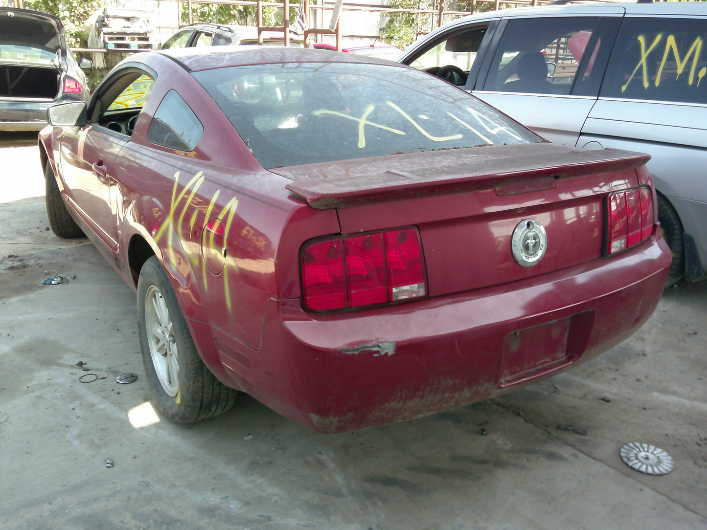1/2 2005-2009 Ford Mustang | All Parts A - F | SKU #: M17504 XL-14