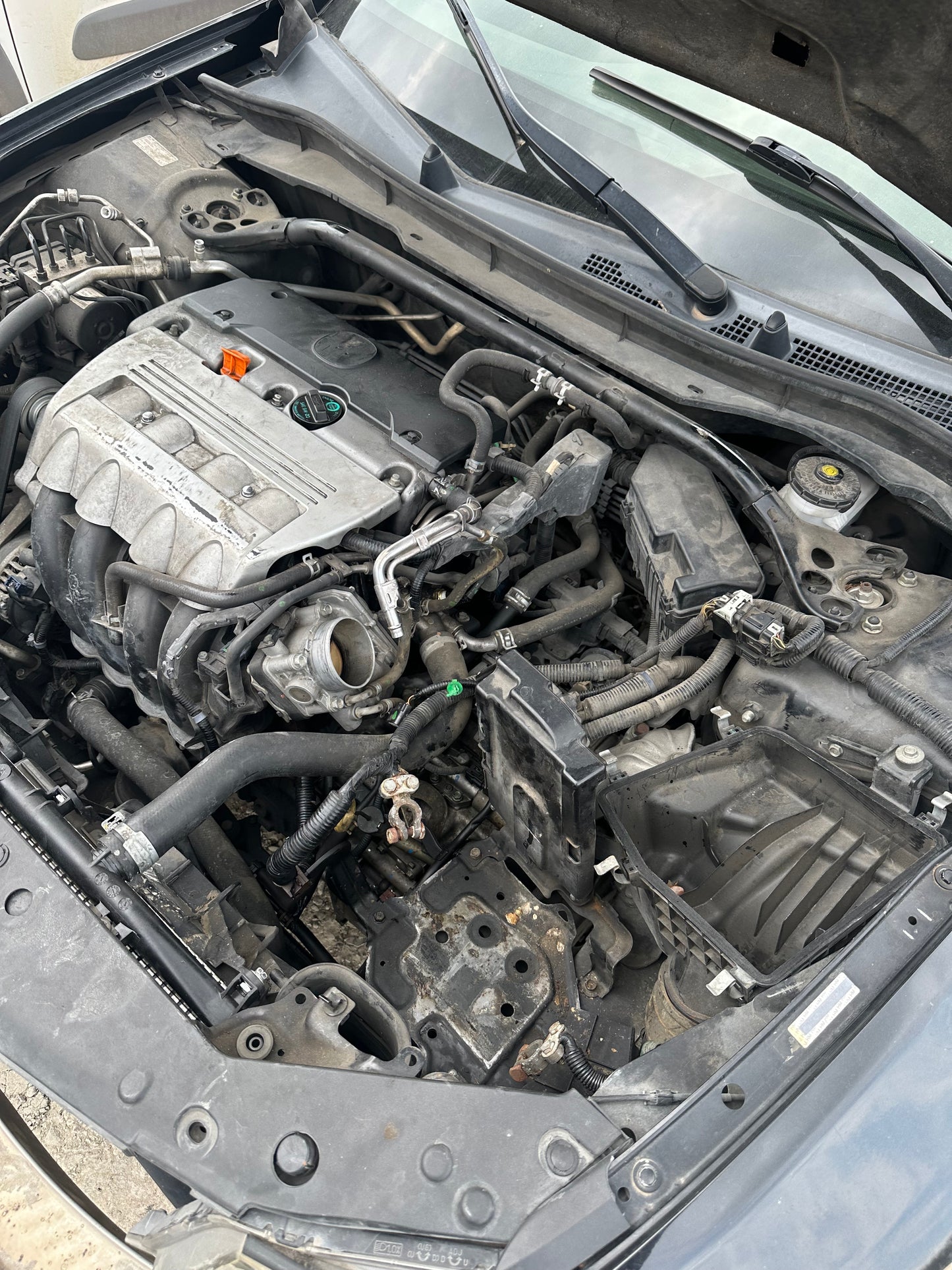 2009 - 2010 ACURA TSX- Transmission -#16200