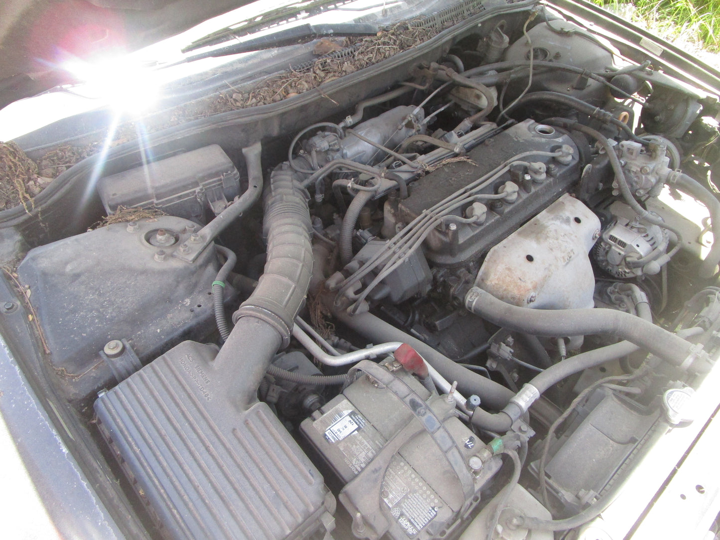 1998 - 2002 HONDA ACCORD - Transmission -#16233