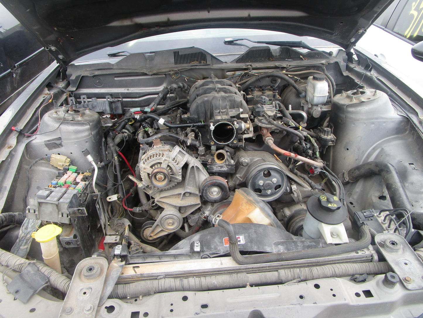2008 - 2010 FORD MUSTANG - Transmission -#16291