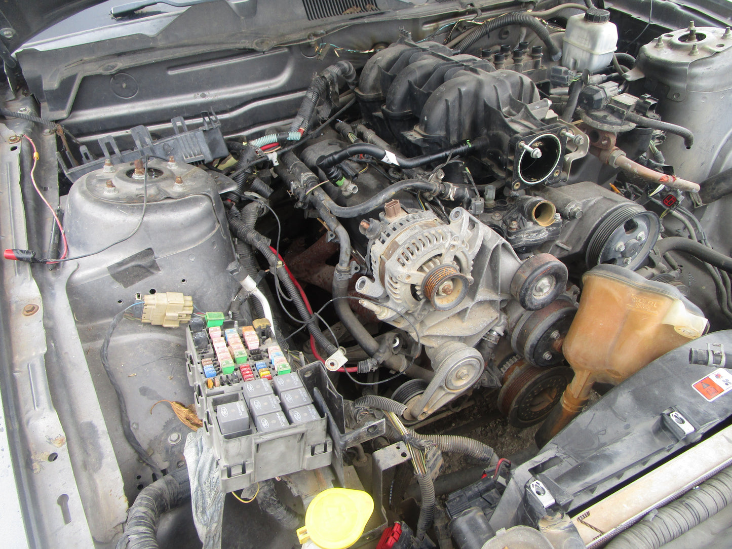 2008 - 2010 FORD MUSTANG - Transmission -#16291