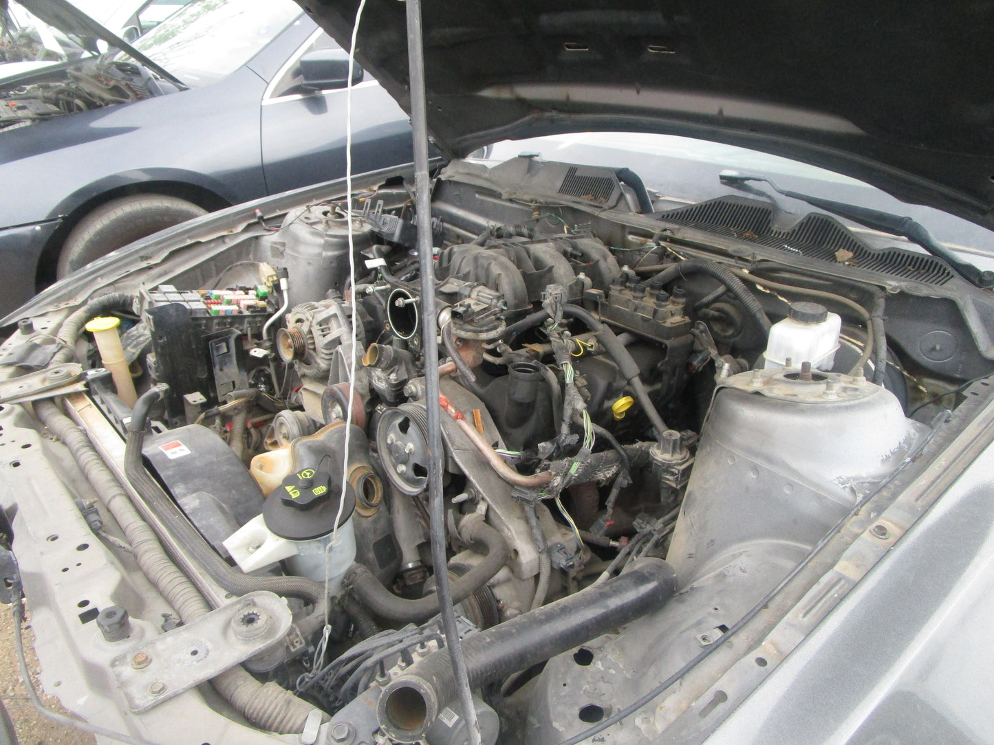 2008 - 2010 FORD MUSTANG - Transmission -#16291
