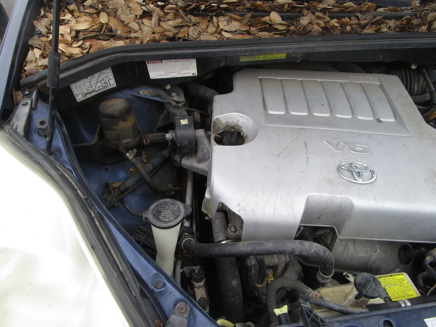 2007 - 2010 TOYOTA SIENNA - Transmission -#16300