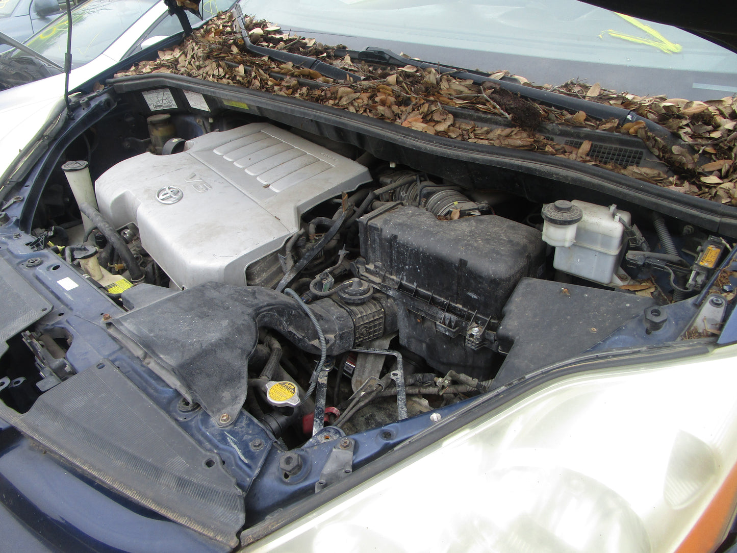 2007 - 2010 TOYOTA SIENNA - Transmission -#16300