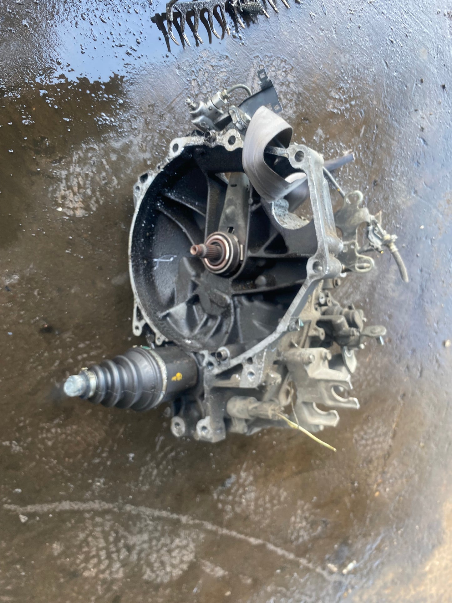 2000-2005 HONDA CIVIC - MANUAL TRANSMISSION - #MS3431