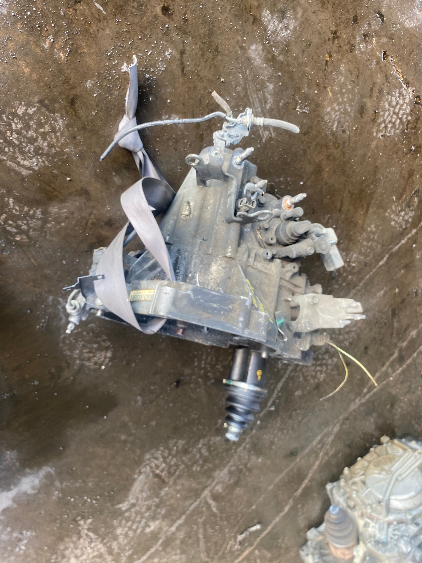 2000-2005 HONDA CIVIC - MANUAL TRANSMISSION - #MS3431