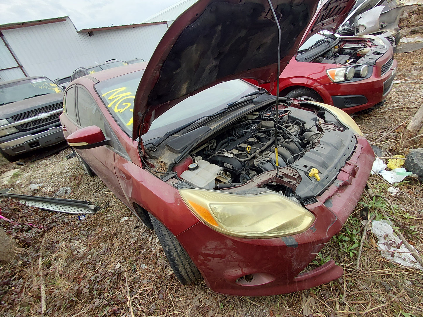 2014 FORD FOCUS - STOCK #: M18516