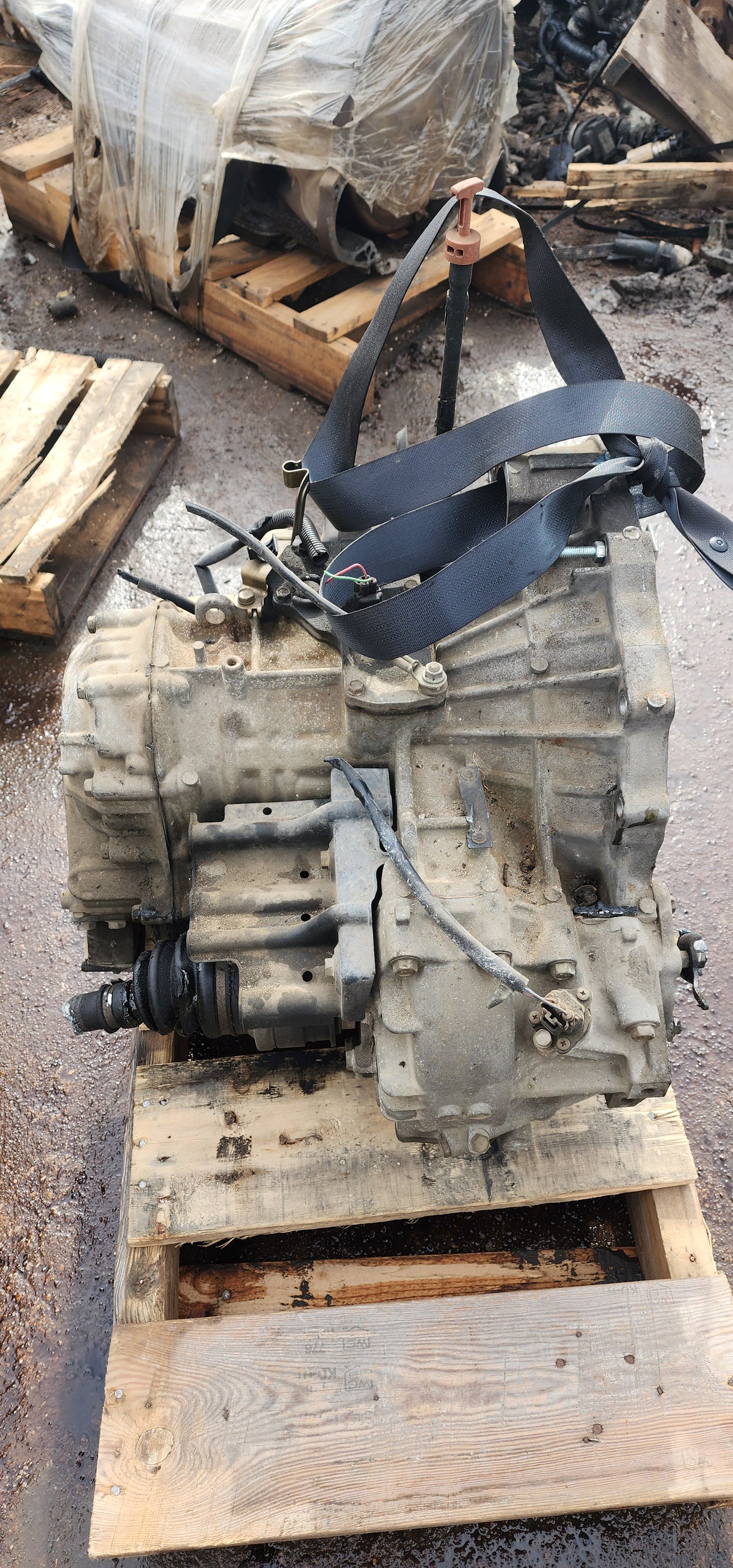 1997-2003 LEXUS ES300 - AUTOMATIC TRANSMISSION-#M17804