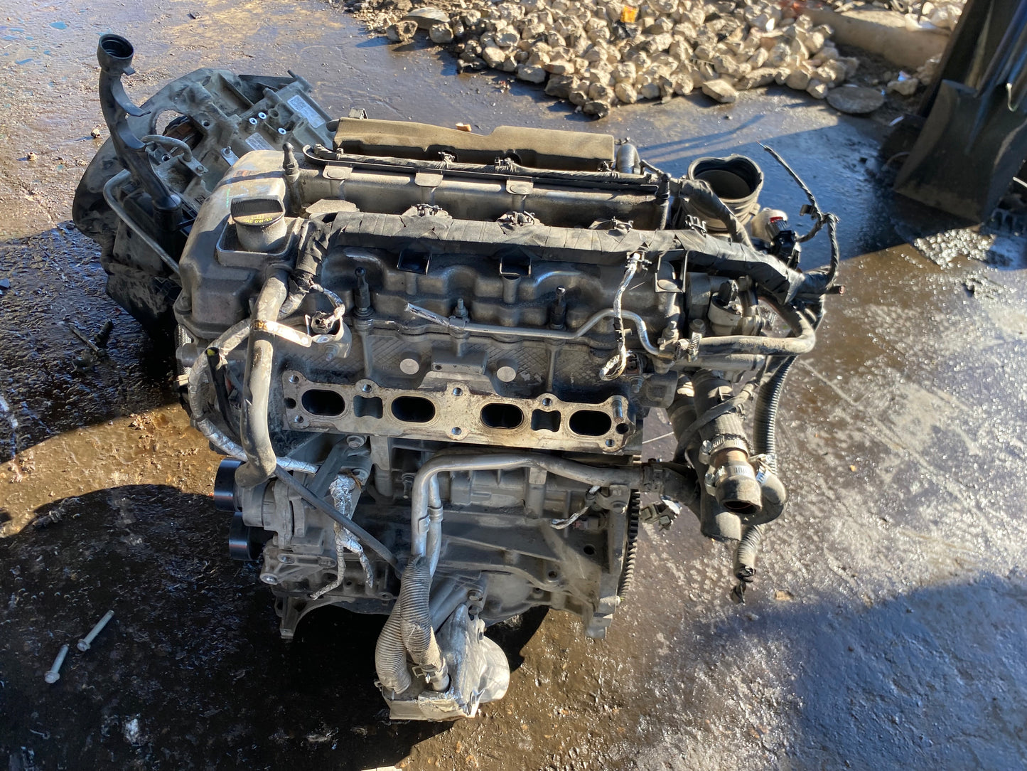 2013-2016 DODGE DART - 2.0 L Engine -#M17694