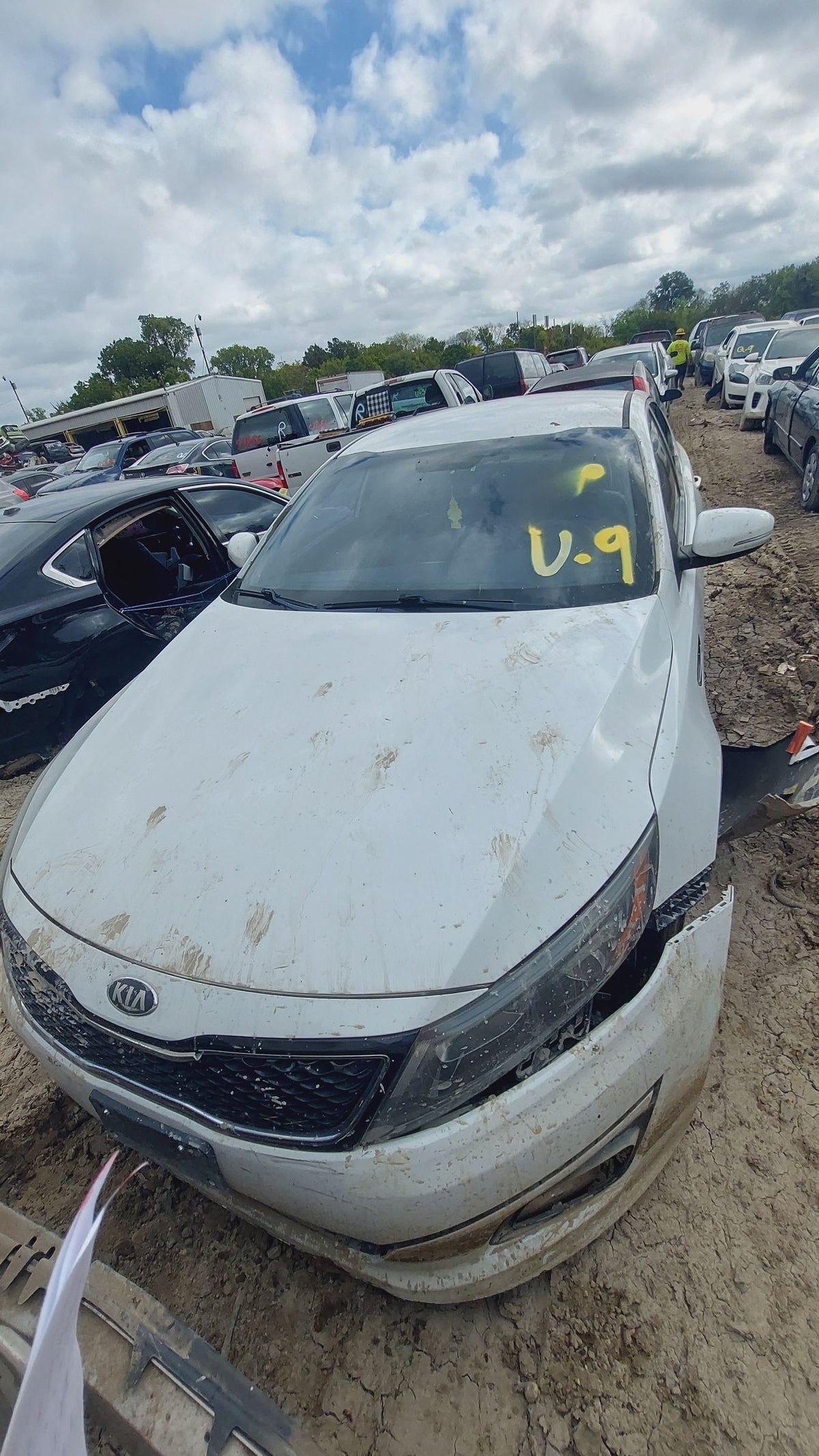 CA_VEHICLE_MEDIA:13262469942:3311255838