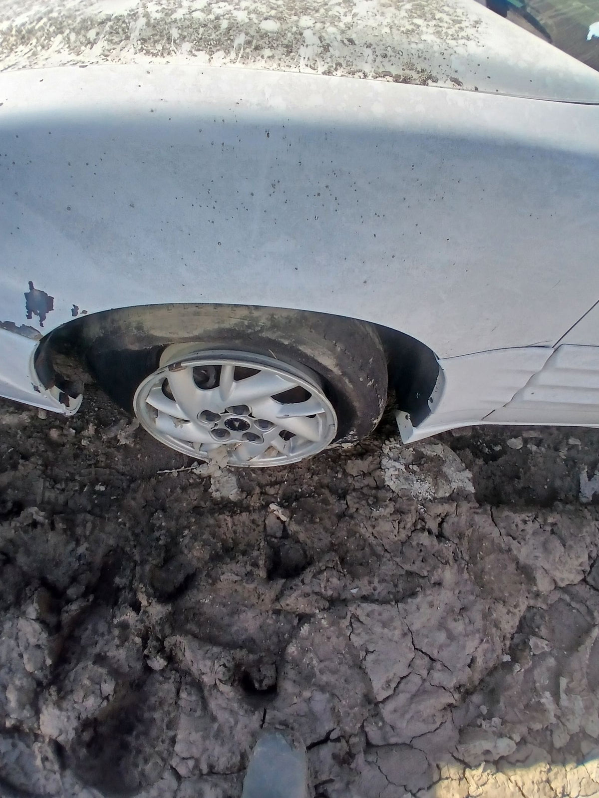 CA_VEHICLE_MEDIA:13382655696:3342416052