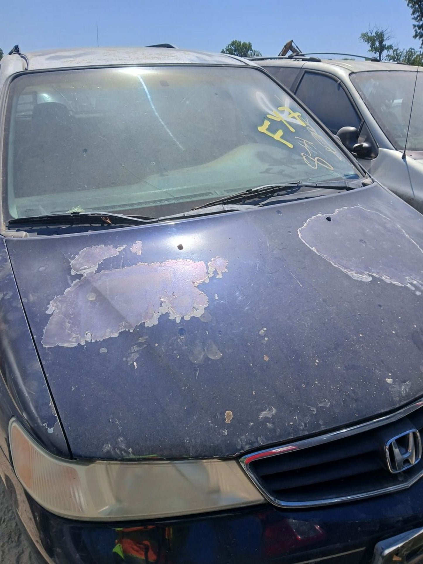 B-Pillar Trim Panel Driver Side 1999 - 2004 Honda Odyssey main image