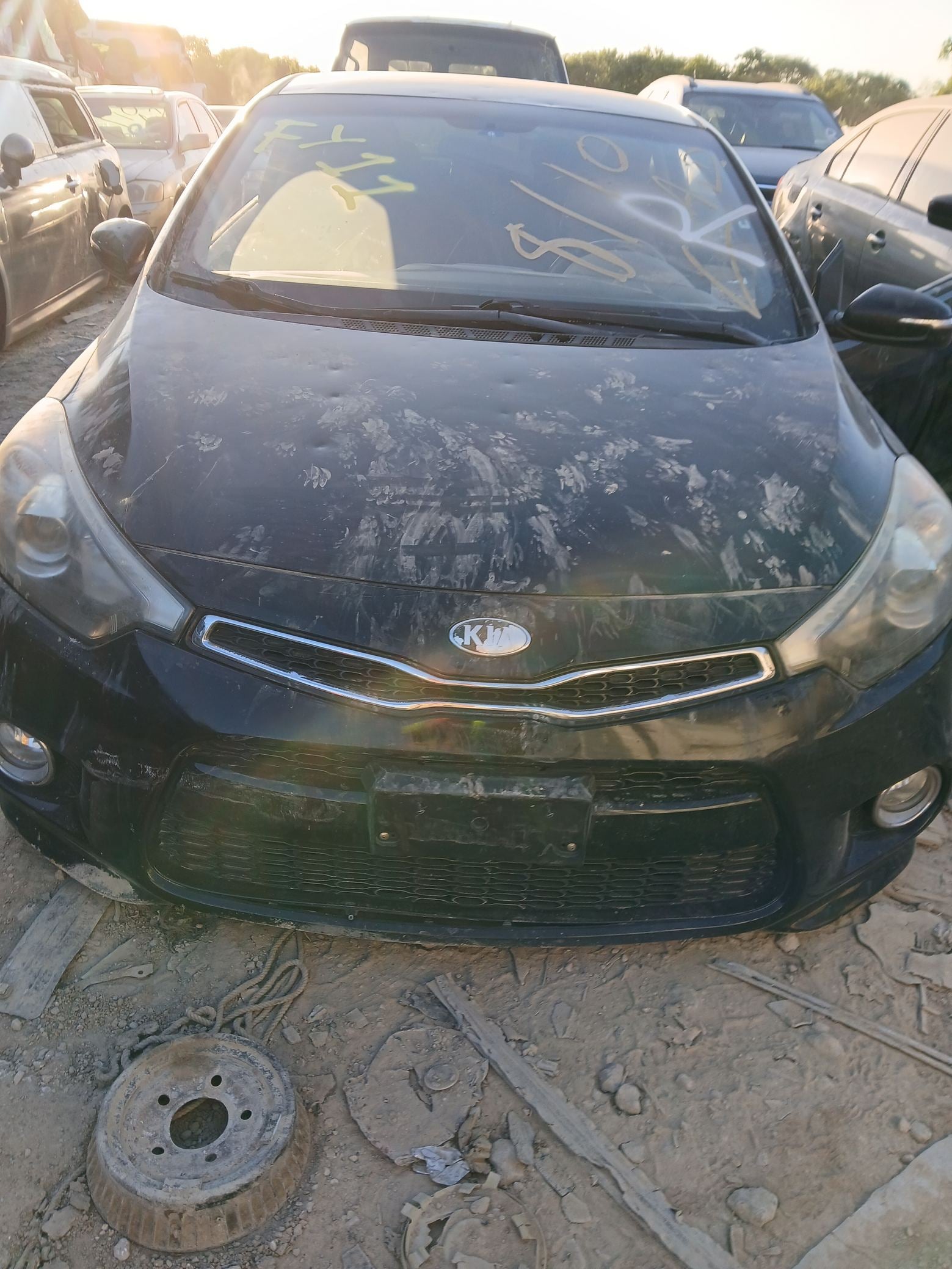 Door Window Glass Passenger Side 2014 - 2018 Kia Forte Koup main image