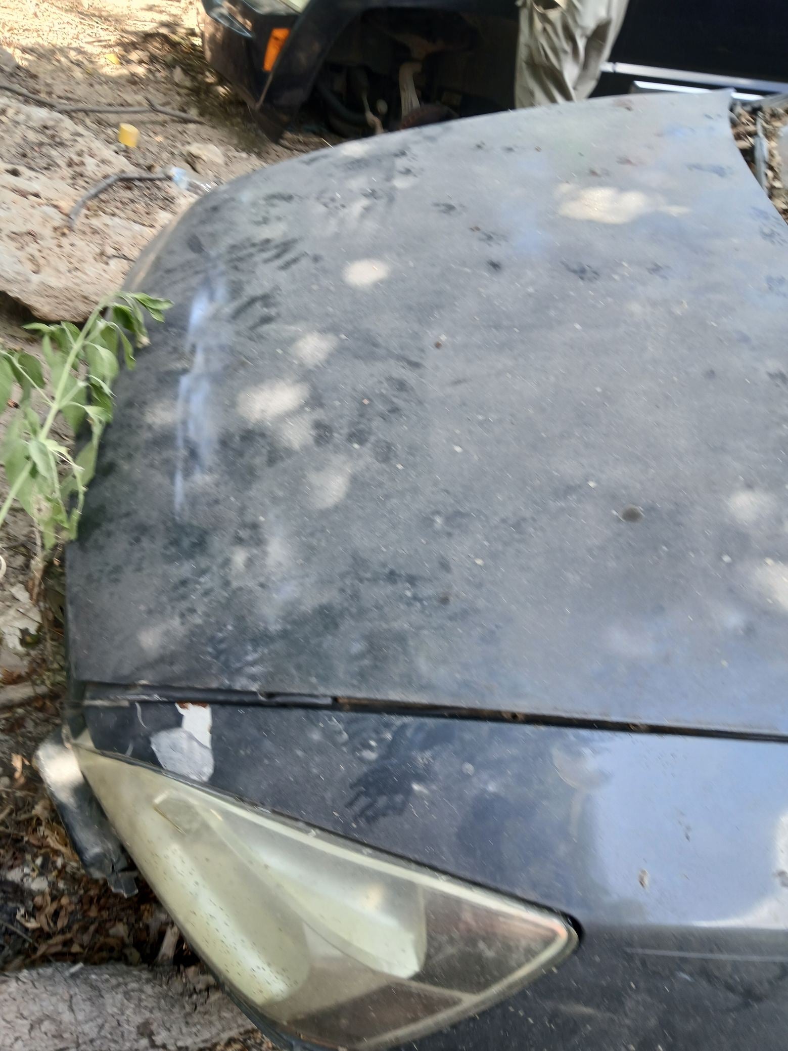 Headlight Passenger Side 2003 - 2007 Honda Accord Sdn main image