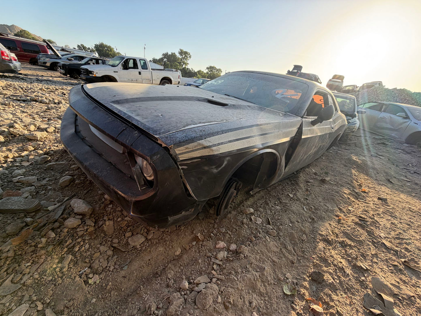 Hood 2008 - 2023 Dodge Challenger main image