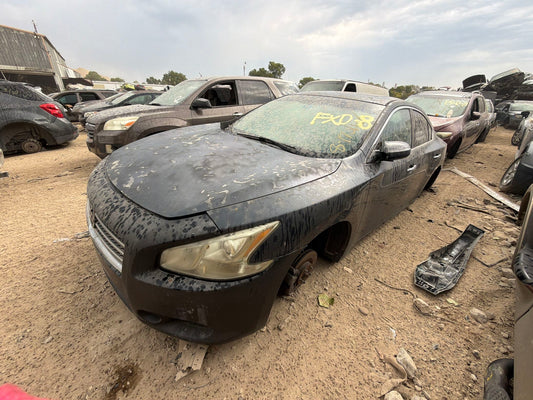 Brake Rotor Rear 2009 - 2014 Nissan Maxima main image