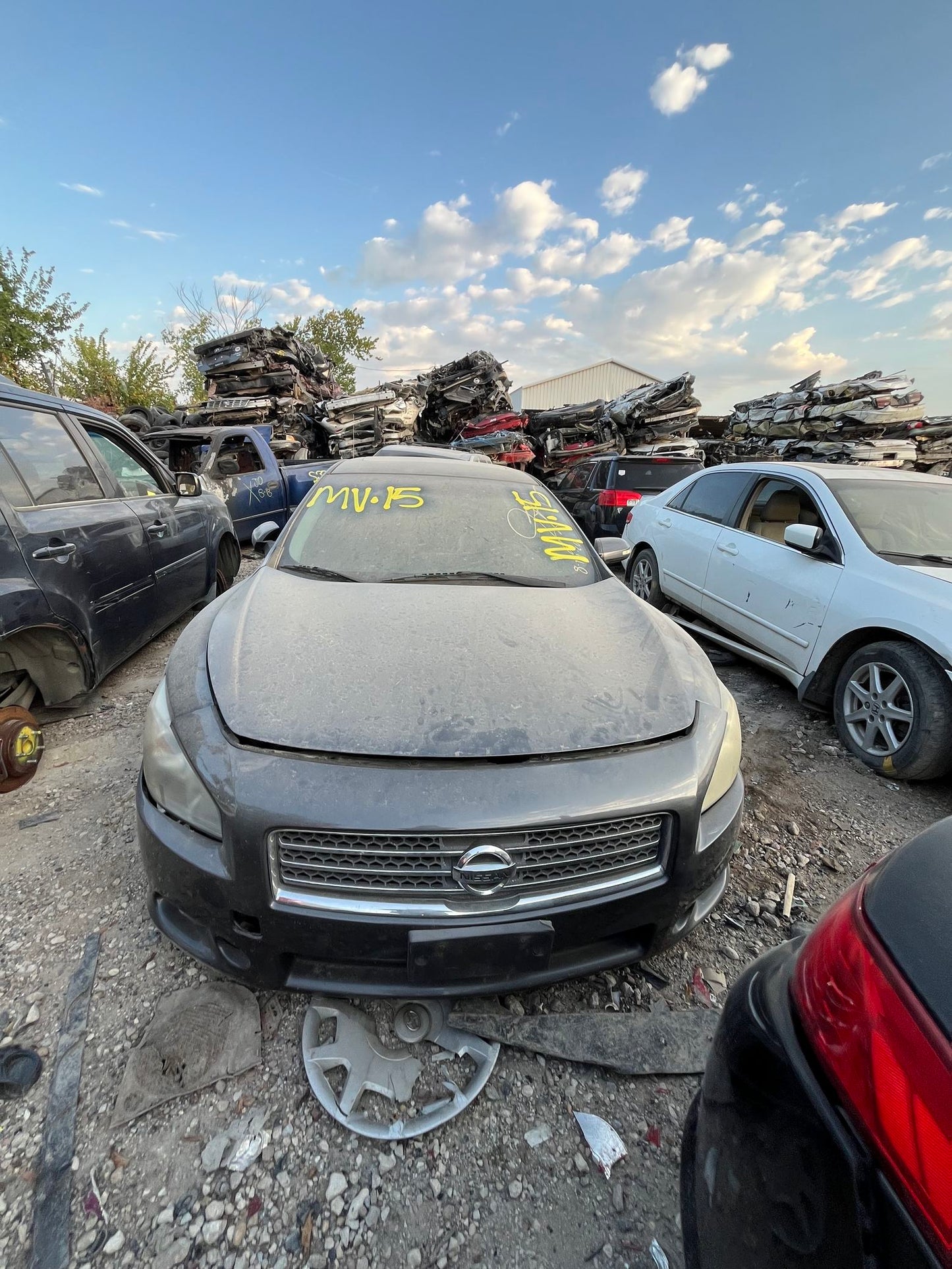 Cooling Fan Assembly 2009 - 2014 Nissan Maxima main image