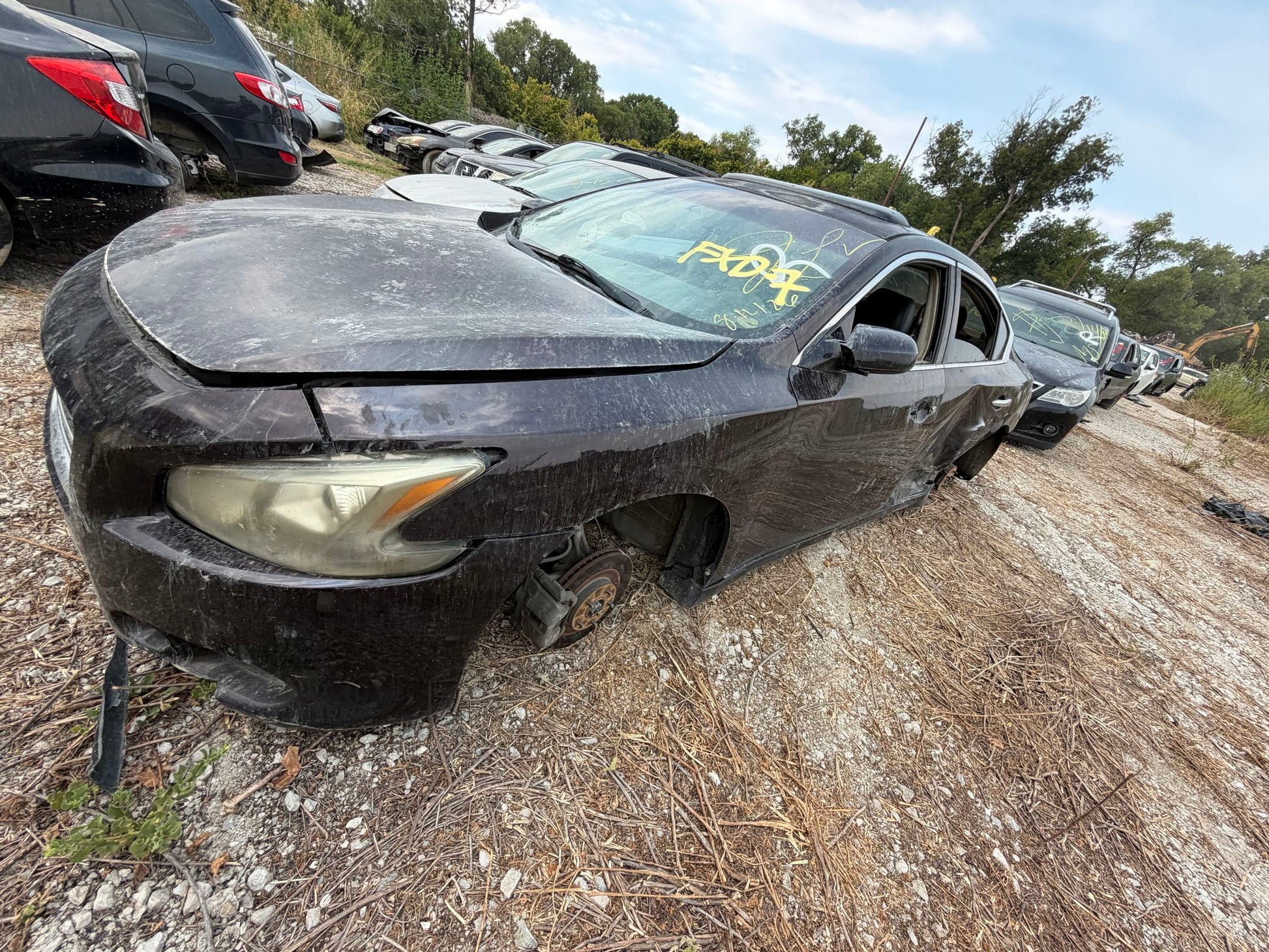 Curtain Airbag Driver Side 2009 - 2014 Nissan Maxima main image