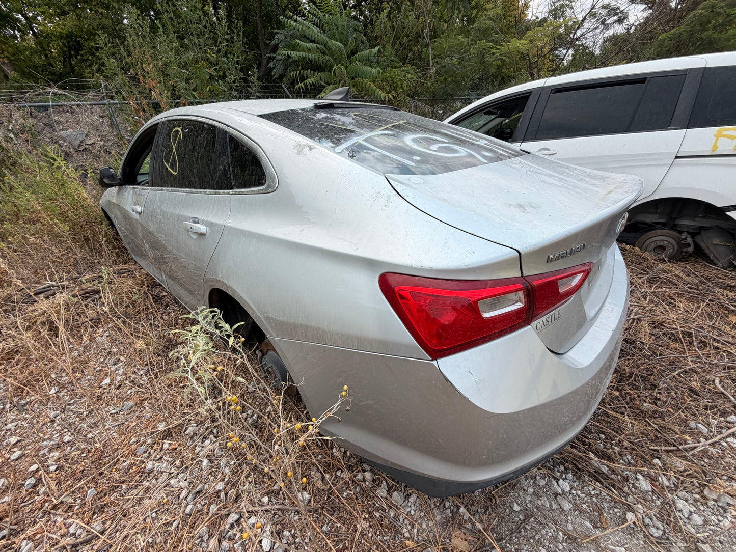 Windshield 2016 - 2024 Chevrolet Malibu main image