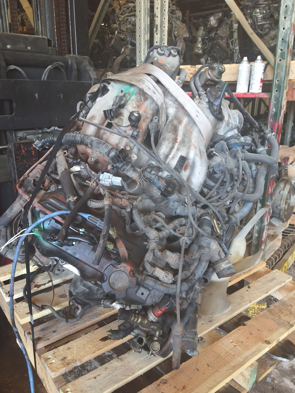 2003-2004 Nissan Xterra 3.3L Engine main image