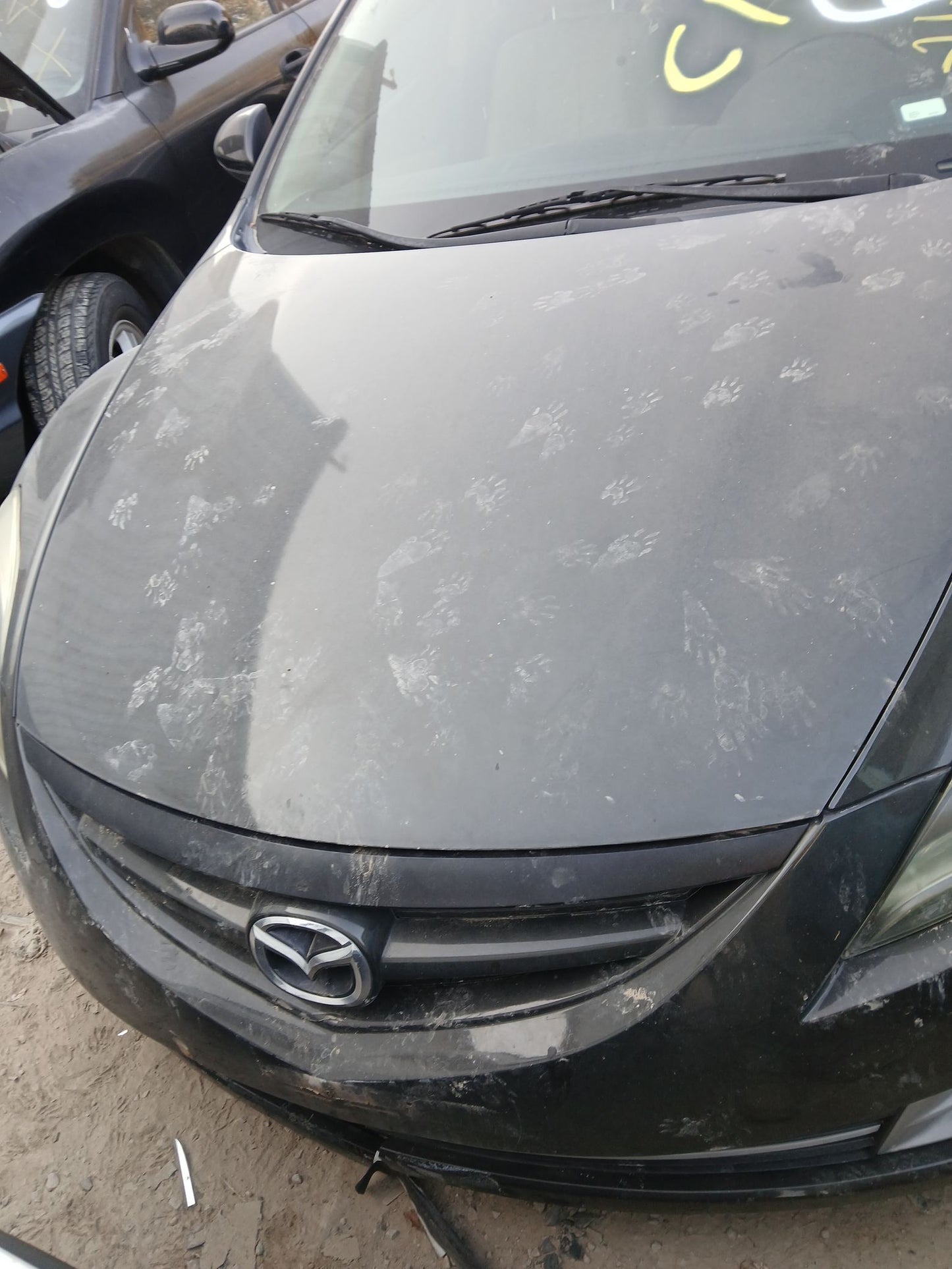 Trunk Lid 2009 - 2013 Mazda Mazda6 main image