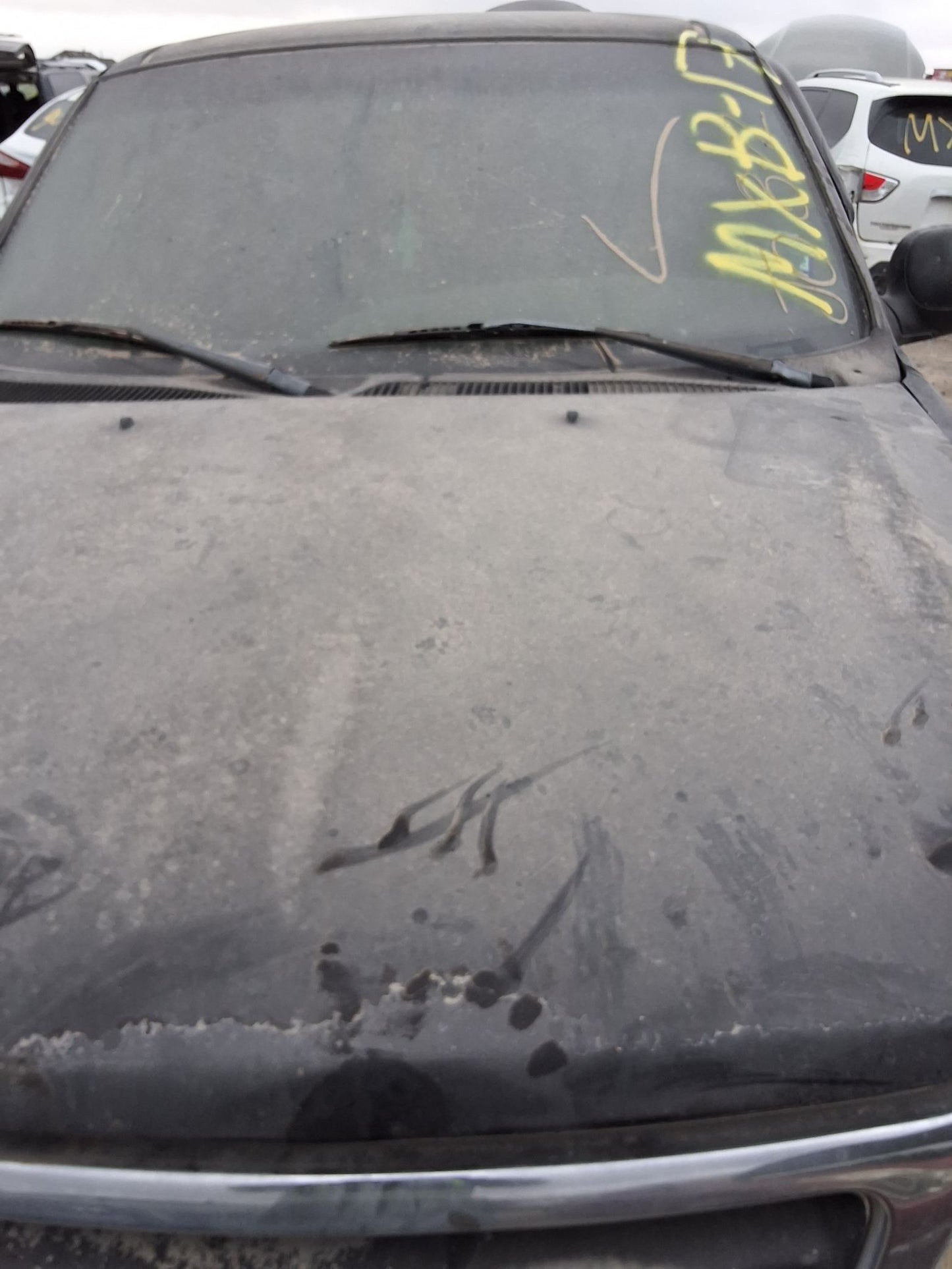 Starter Motor 1997 - 2003 Ford F-150 main image