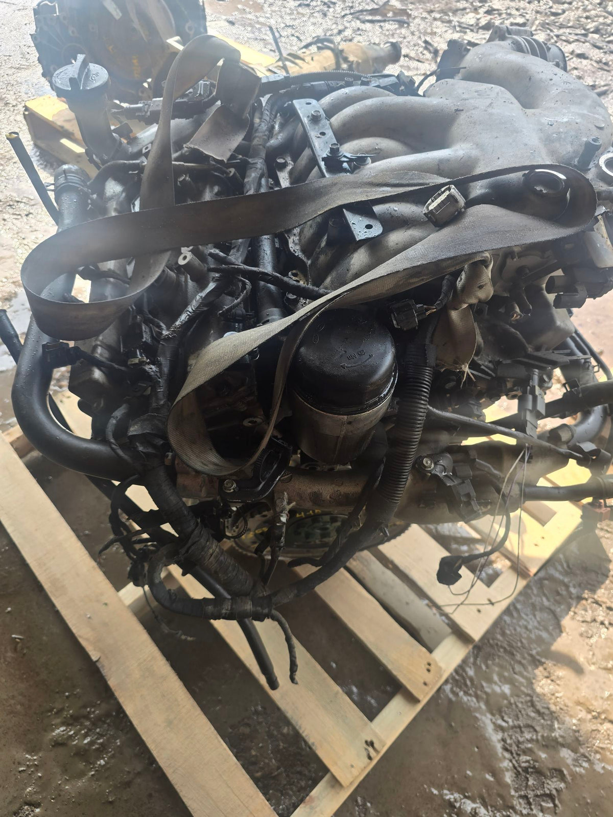 2007-2009 Kia Sorento 3.8L Engine main image