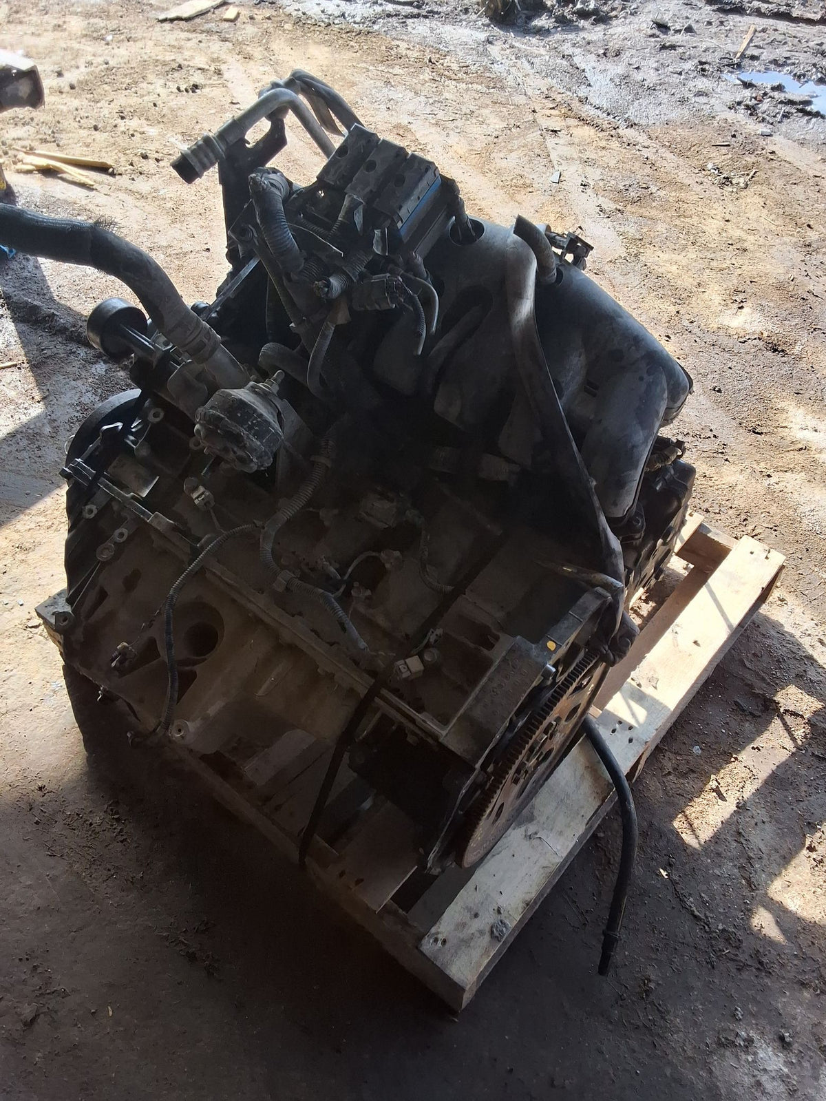 1996-1997 Chevrolet TrailBlazer (mid-size) 4.2L Engine main image