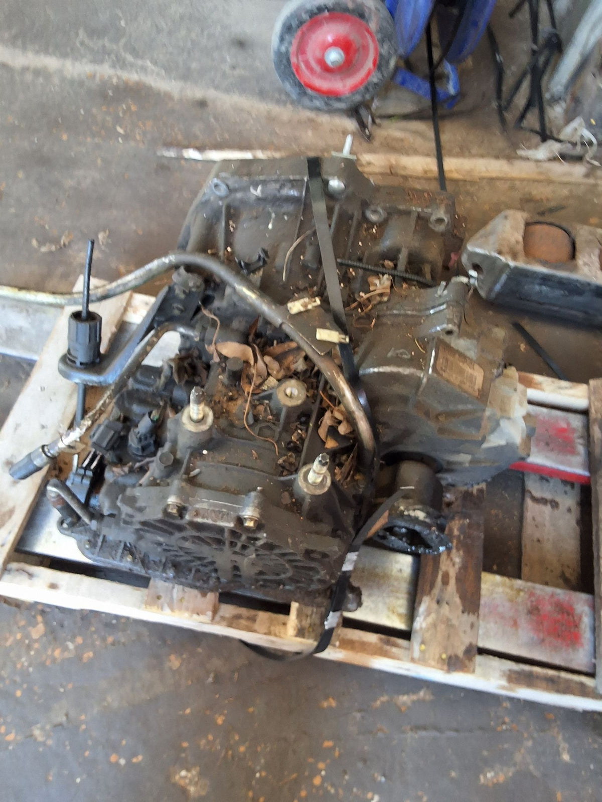 2001-2003 Ford Focus Automatic FWD Transmission main image
