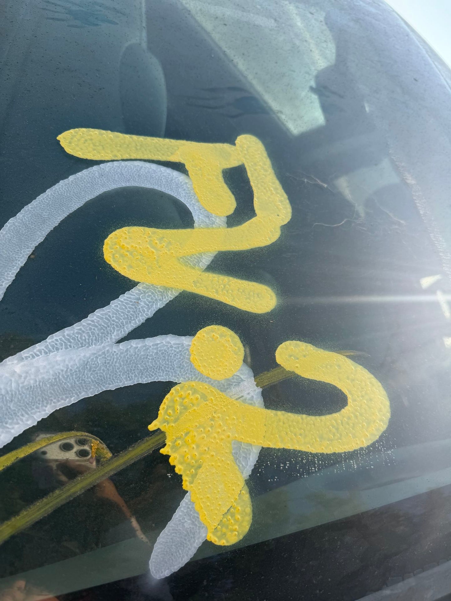 Door Interior Handle Rear Driver Side 2005 - 2011 Dodge Dakota