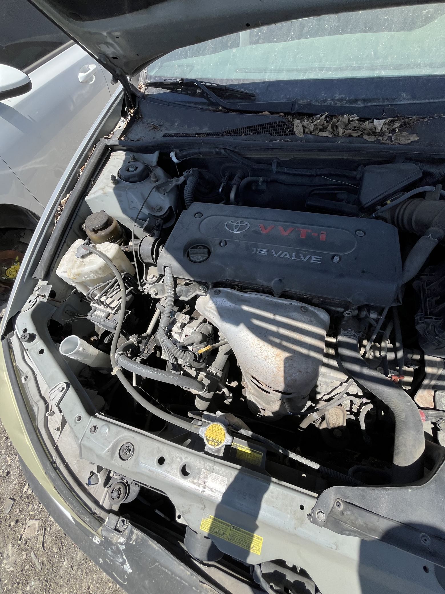 Hood 2002 - 2006 Toyota Camry