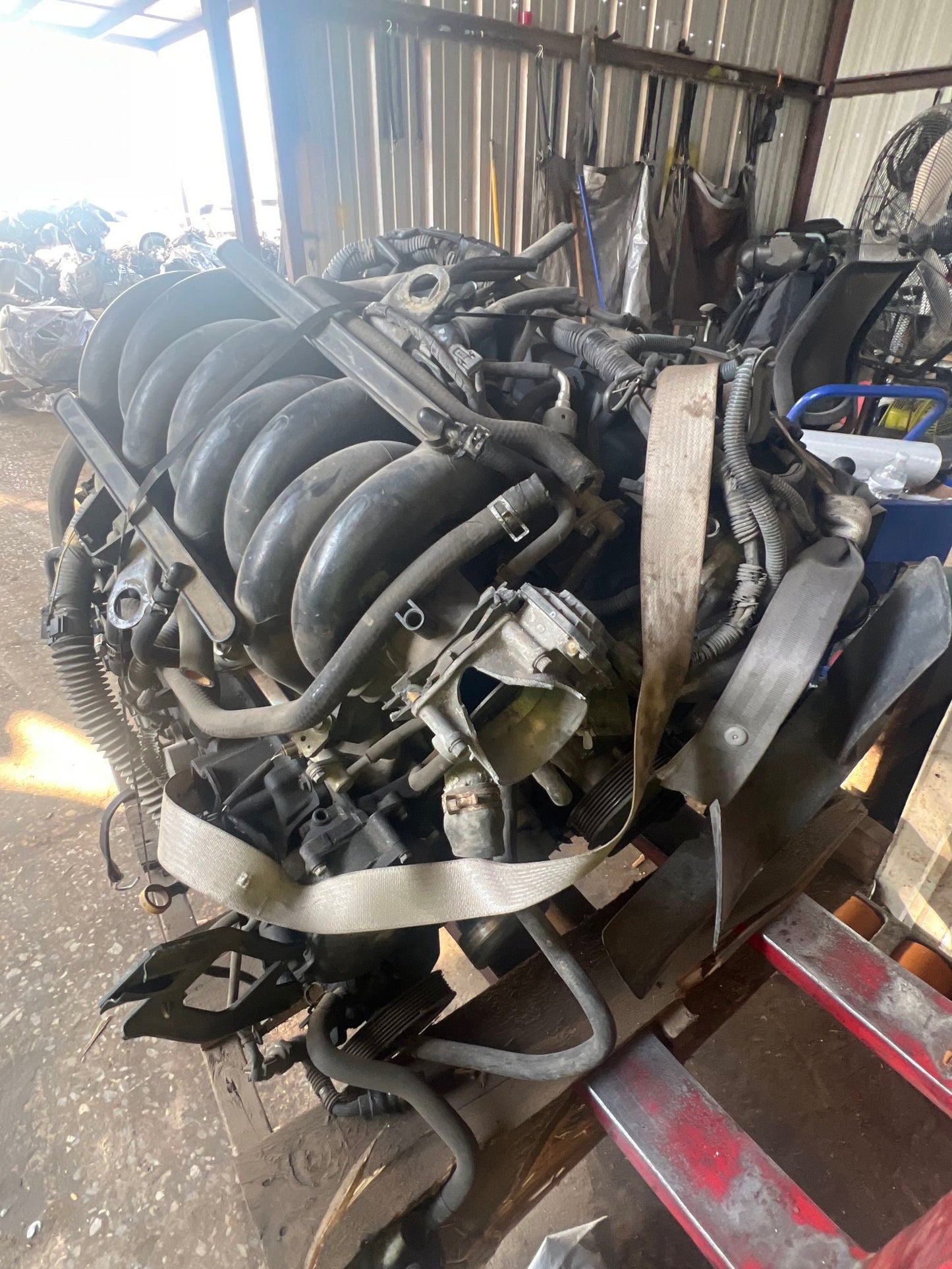 2006 Nissan Amanda 5.6L Engine