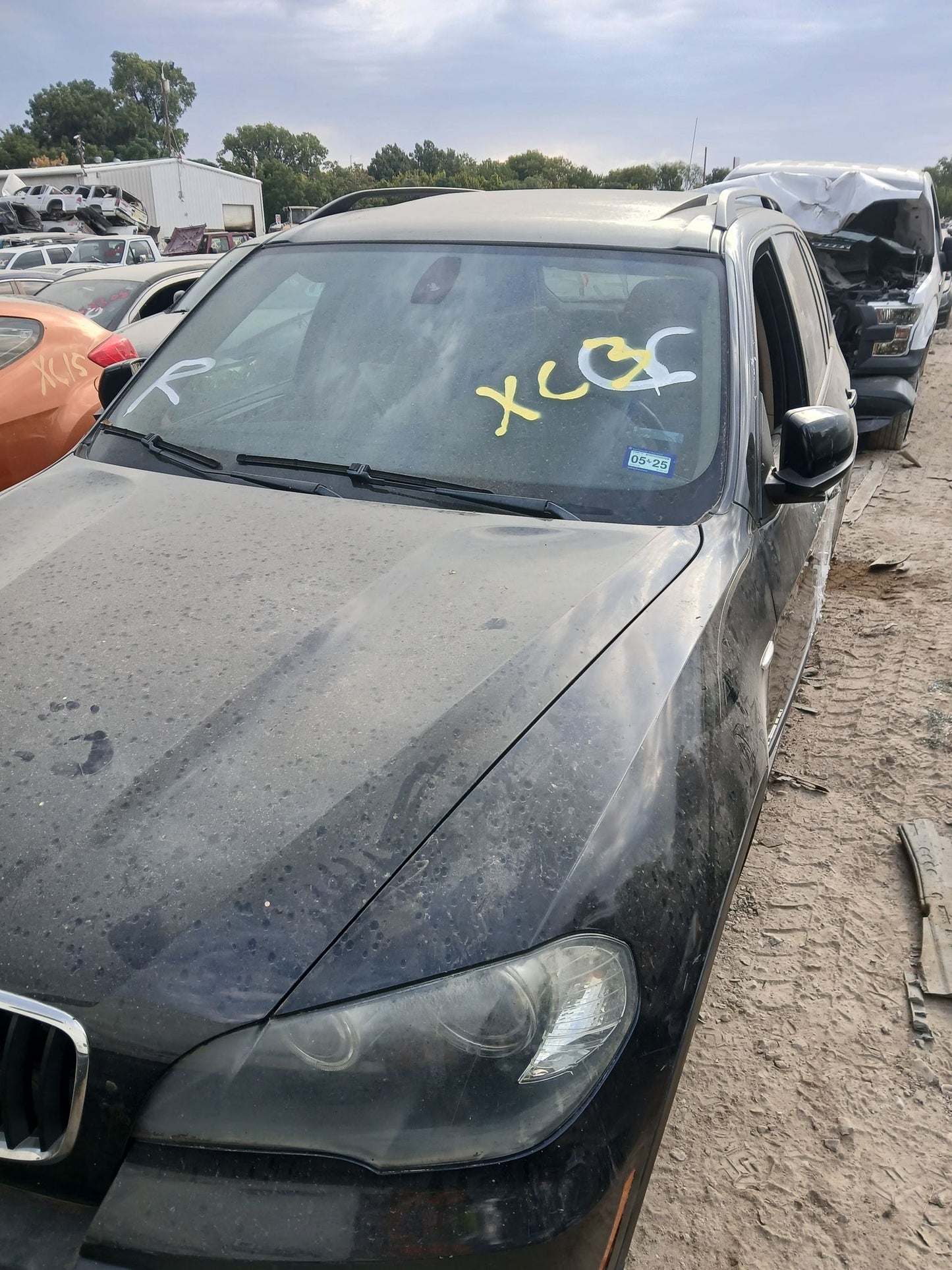 Door Window Glass Rear Driver Side 2007 - 2013 BMW X5