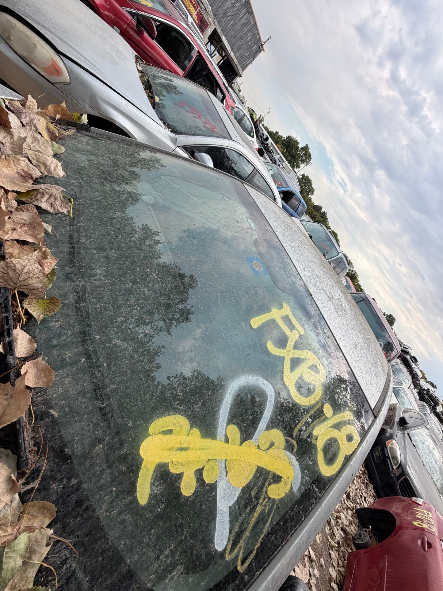 Hood 2012 - 2017 Kia Rio