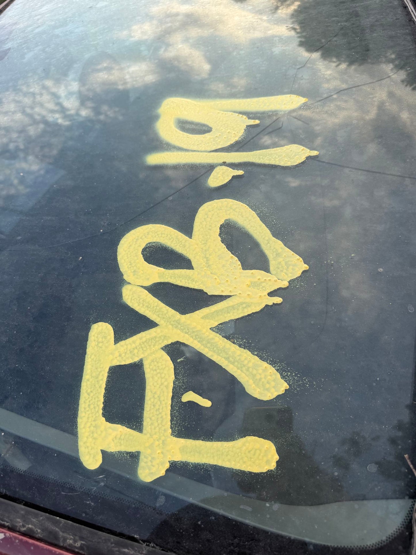 Fender Front Driver Side 2001 - 2005 Toyota RAV4