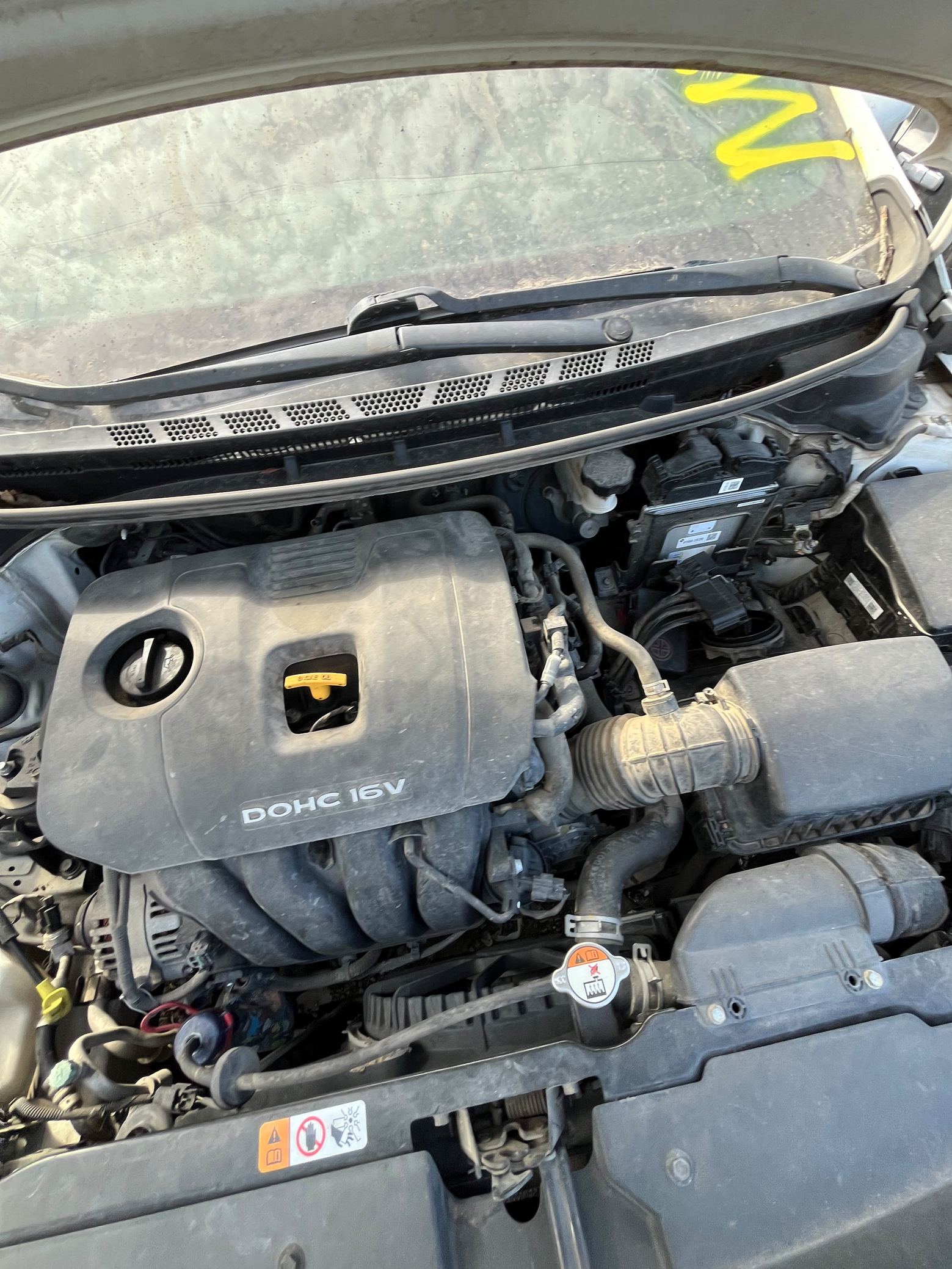 Door Trim Panel Rear Passenger Side 2014 - 2018 Kia Forte