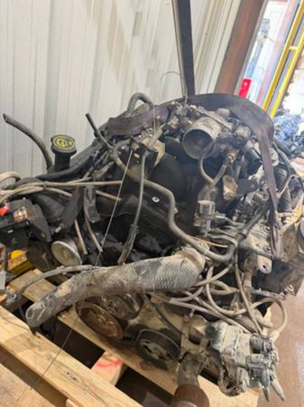 1999 Ford Expedition 4.6 L Engine