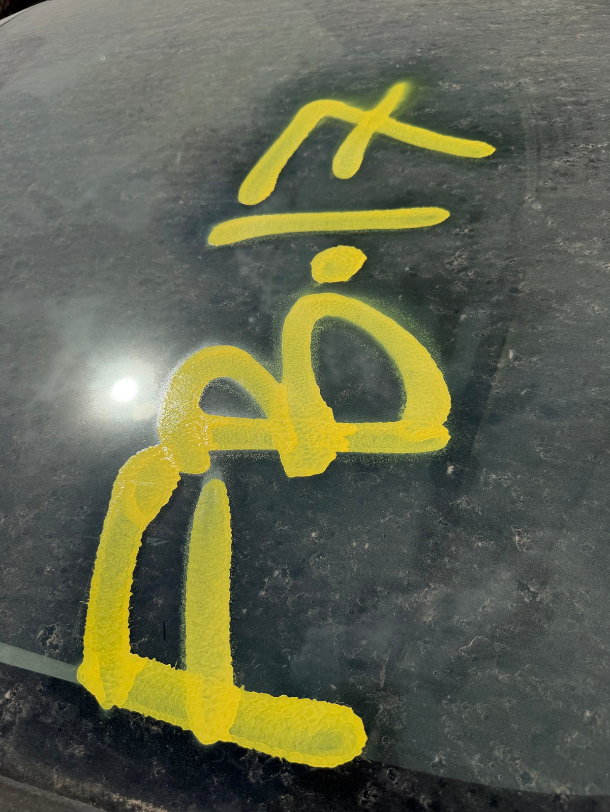 Door Window Glass Rear Driver Side 2011 - 2019 Ford Fiesta