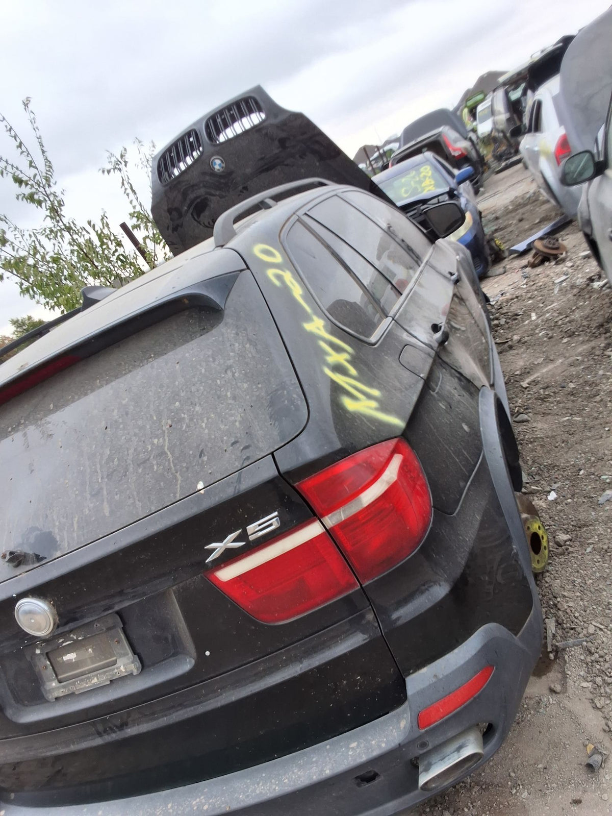 Strut Front Passenger Side 2007 - 2013 BMW X5