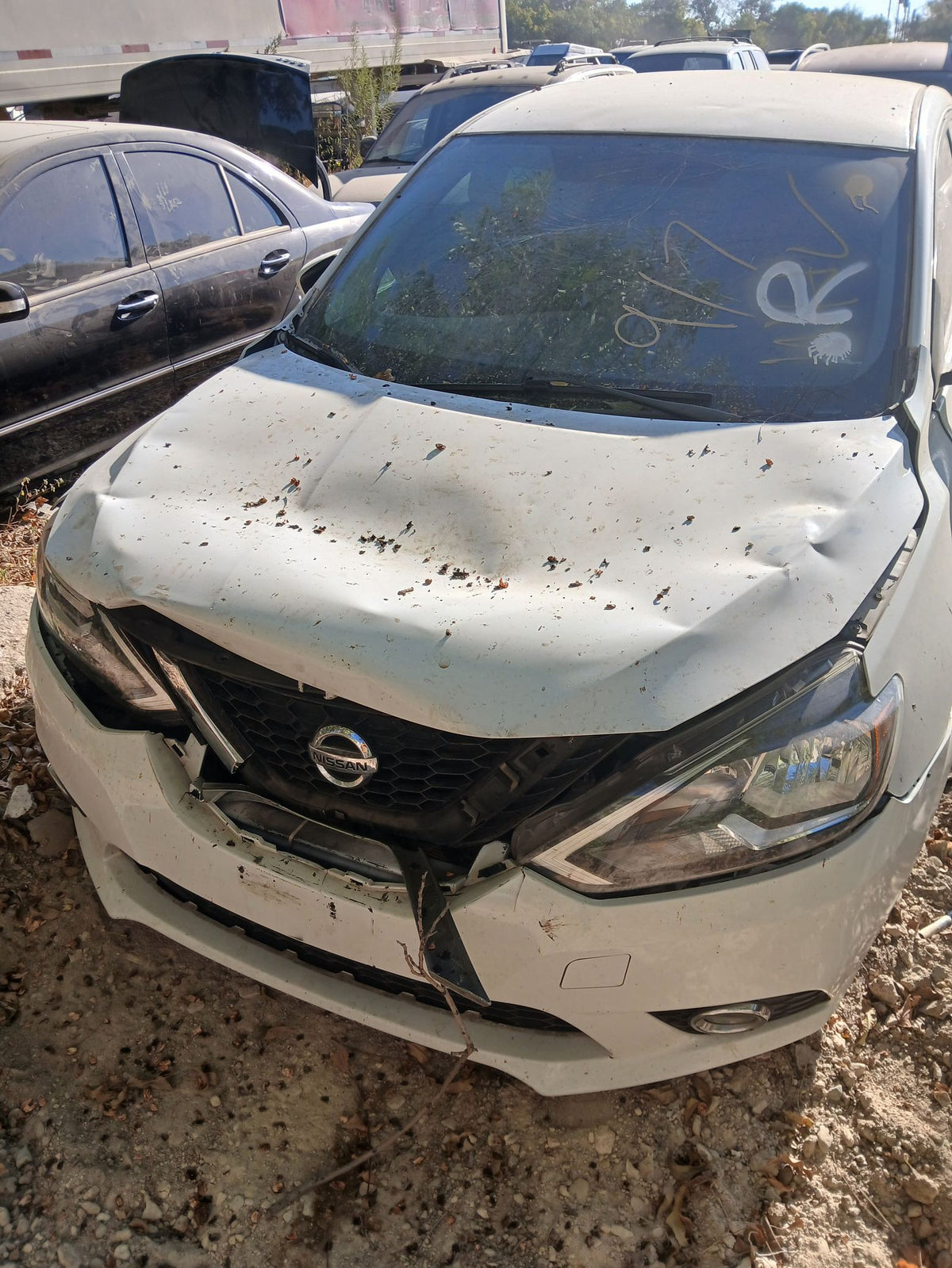 Coil Spring Rear Driver Side 2013 - 2019 Nissan Sentra