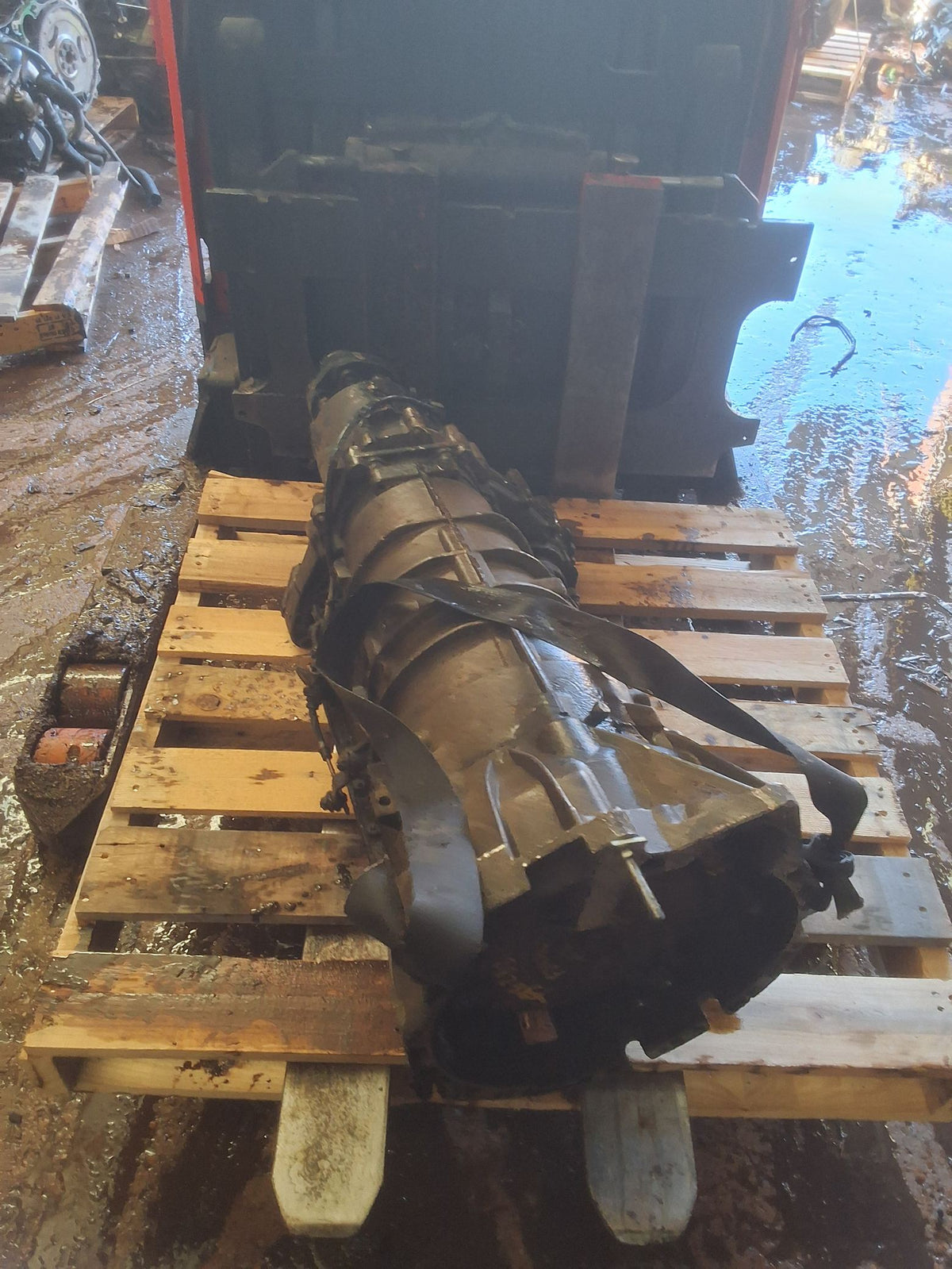 2003-2006 BMW X3 6-speed Manual AWD Transmission