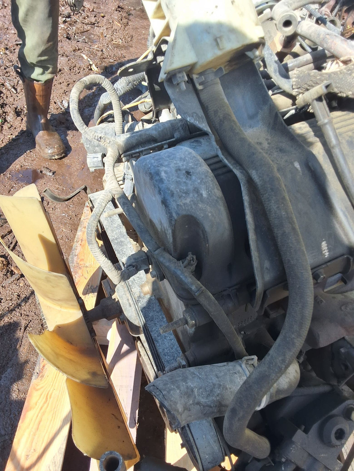 1997-1998 Ford Expedition 5.4L Engine