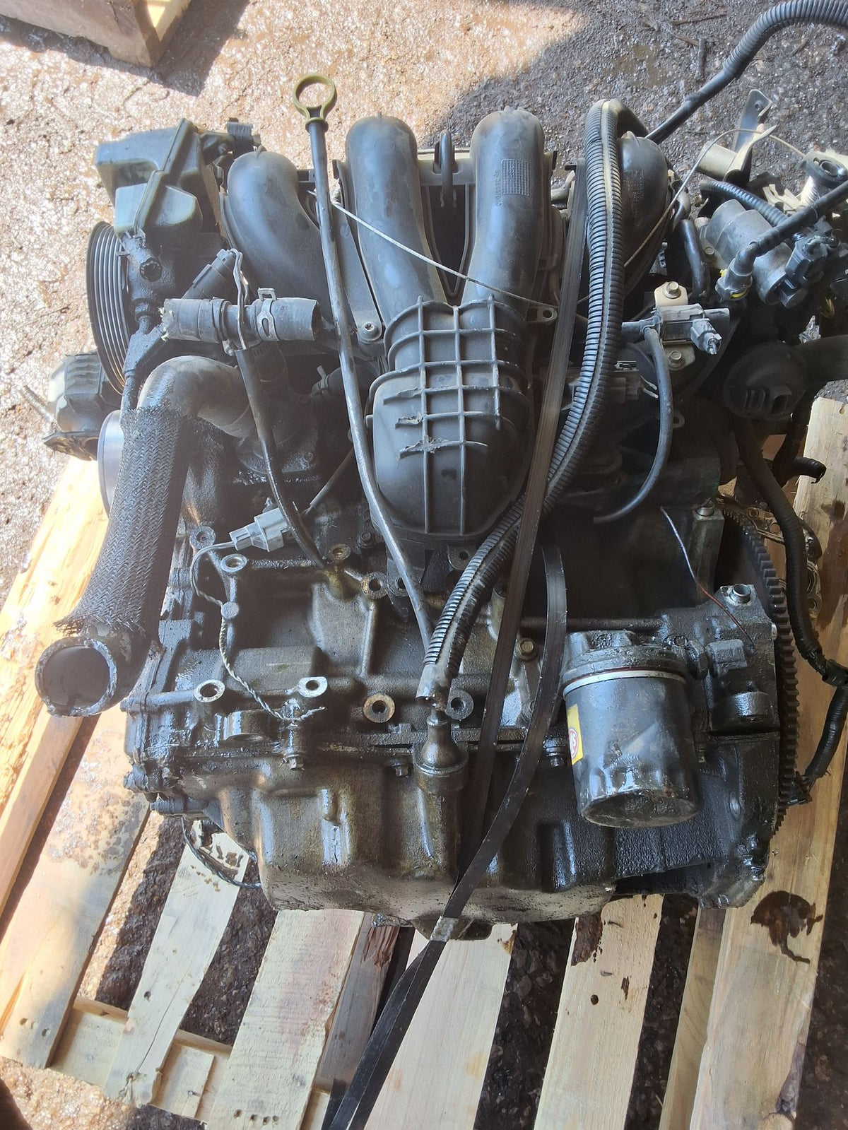 2006-2007 Ford Focus 2.0L Engine